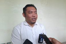  Bulog Rejang Lebong   Serap 221 Ton Beras Petani