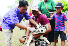 1.500 Vaksin Cegah Rabies Gratis, aksinasi Peringati World Rabies Day 2025