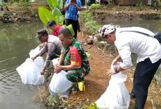 Pemdes Karang Anyar II   Lepas 20 Ribu Bibit Ikan, Wujudkan Program Ketahanan Pangan Desa