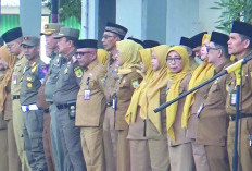 BKD Provinsi Bengkulu Siapkan Penataan Pegawai, Ratusan ASN Pensiun Tahun Ini 
