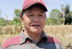  Hasilkan Jagung 5 Ton, Desa Air Hitam   Lanjutkan Program Ketahanan Pangan