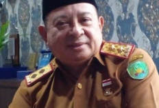 Empat Kabupaten Resmi Adopsi Sipadek, Begini Penjelasan Kepala DPMPTSP Kota Bengkulu