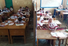 Miris,, Ruang Kelas  di MIN 1 Bengkulu Tengah Disekat Menggunakan  Triplek 