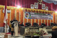23 Tahun Mukomuko, Dari Daerah Pemekaran Menuju Penguatan Ekonomi dan Kesejahteraan Warga