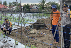 Polresta Wujudkan Program Ketahanan Pangan, Sudah Siapkan Lahan Di Kota Bengkulu Segini Jumlah Luas Lahannya  