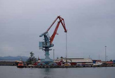 Sejumlah Investor Asing Lirik Kawasan Industri Pulau Baai, Tertarik Garap Bidang Bisnis Ini