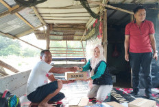 Puluhan Kerbau Terinfeksi Penyakit Ngorok, Ini Upaya Penanganan yang Dilakukan Distan Kota Bengkulu