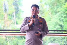  Bakar Hutan dan Lahan   di Lebong Bisa Dipenjara, Segini Ancaman Hukumannya
