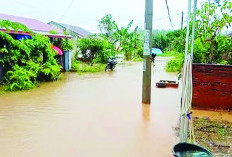 Banjir Disebabkan Siring Tersumbat, Ini Kata Kepala BPBD Kota Bengkulu