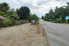 Jembatan di Bunga Mas Diperbaiki, Arus Lalin Dialihkan, Ingat Ya!