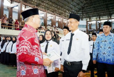 Angkat Honorer jadi ASN, Begini Penjelasan Sekda Provinsi Bengkulu