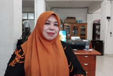 BKD Benteng Gali Potensi Pajak Reklame, Ini Tujuannya