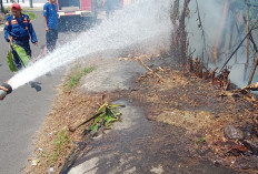 Akibat Pembakaran Sampah, Lahan di Curup Tengah Terbakar