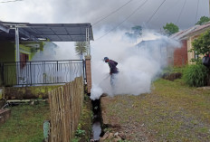 435 Warga Terkena DBD, Ini Imbauan Kepala Dinas Kesehatan Rejang Lebong