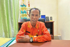 Harga Gabah di Mukomuko Tembus Rp6.800 per Kg, Lampaui Ketetapan HPP Pemerintah