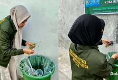 Mahasiswa KKN Universitas Nurul Huda, Dorong Ketahanan Pangan dan Pemberdayaan UMKM di Pematang Gubernur