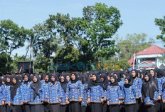 Gaji PPPK Paruh Waktu di Bengkulu Selatan Masih Setara Honorer