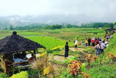 Wujudkan Desa Wisata Berbasis Agrowisata, Ini Lokasinya