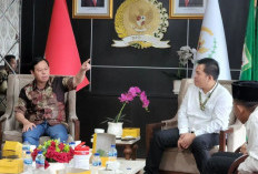 HIPMI Dukung Sultan jadi Ketua DPD RI, Momentum Putra Bengkulu jadi Tokoh Nasional