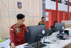  Tiga Investor Besar Bidik Bengkulu Utara, Tertarik Bangun Pabrik Pakan Ikan hingga Peternakan Sapi Perah