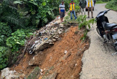 Jalan Provinsi di Seluma Longsor, Gubernur Bengkulu Langsung Respon Bantu Rakyat