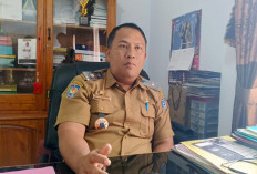 Pilkades Serentak, Bengkulu Utara Masih Tunggu Regulasi Turunan, Tahapan Belum Bisa Ditetapkan