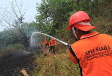 Cuaca Panas Melanda, BPBD Provinsi Bengkulu Ingatkan Waspada Karhutla