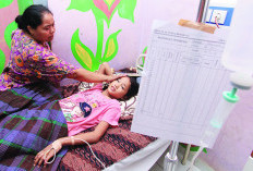 Waspada Ancaman DBD, Ini Pesan Wali Kota Bengkulu 