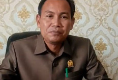 Kejar Target PAD 2026, DPRD Seluma Dorong Optimalisasi Perda