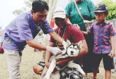 Warga Rejang Lebong Diminta Tak Lepasliarkan Hewan Penular Rabies