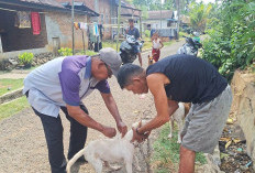 Stok Vaksin HPR Ditambah, Segini Jumlahnya