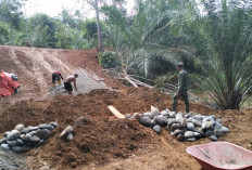 Semangat Satgas dan Warga Kebut Pembangunan Talud Dalam  TMMD Ke-124 Kodim 0408/BS