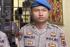 Dipicu Motif Asmara,Korban Menolak Bertemu, Kini Pembunuh Dosen Cantik di Jambi Ditangkap  