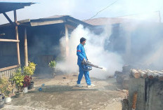 4 Warga Terindikasi DBD, Dinkes Lakukan Fogging di Sini 