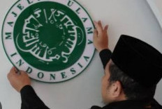 Setengah Abad MUI, Ini Perannya di Indonesia 