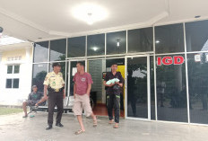 GEGER, Warga Gunung Agung Temukan Mayat Bayi di Kebun,  Kasat Reskrim: Satu Orang Sudah Diamankan