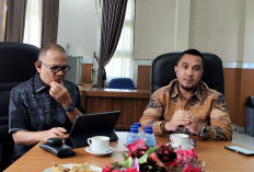 Dewan Usul Copot Direktur PDAM, Ketua Fraksi PAN DPRD kota Bengkulu Beberkan Ini Alasannya