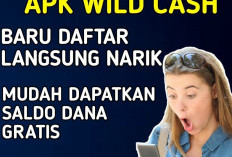 Wild Cash, Game Penghasil Saldo DANA Gratis Ratusan Ribu Perhari, Terbukti Membayar, Yuk Langsung Main!