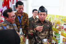 Indomaret Gandeng Pemkot Bengkulu dan Sanco, Dorong UMKM Naik Kelas Tembus Ritel Nasional