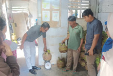 Pengguna LPG 3 Kg Bakal Dapat BLT Rp 120.000 Perbulan, Ini Kriteria Calon Penerimanya