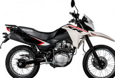 Honda XR150L 2025, Tampil Lebih Modern, Siap Menemani Petualanganmu