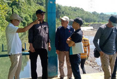 60 Hektar Sawah Mulai Digarap Petani, Dampak Perbaikan Ini