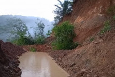 BREAKING NEWS :  Longsor Kembali Tutup Jalan di Lebong, Kendaraan Tidak Bisa Lewat