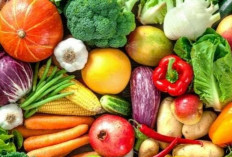 10  Sayuran Terbaik  Direkomendasikan Untuk Usia 50 Tahun ke Atas  