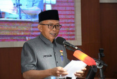 13 Jabatan Strategis Dilelang Bulan Ini