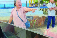 Satpol PP Kota Bengkulu Tegur Pedagang Liar di Depan SDN 76