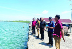 Bagan Ancam Keselamatan Pelayaran Pelabuhan Pulaubaai Bengkulu