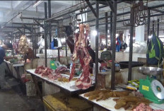  Harga Daging Sapi di Bengkulu Utara Naik