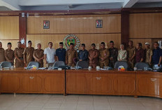 APDESI MP Hearing ke DPRD, Minta Kejelasan DD dan ADD BS