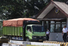 Antisipasi Truk Batu Bara Over Tonase, Jembatan Timbang Ini Bakal Diaktifkan
